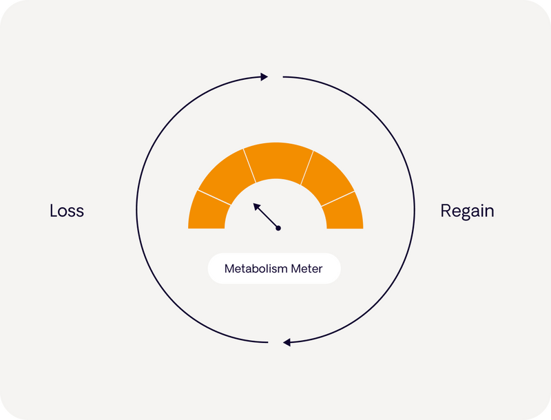 Low protein increases muscle loss