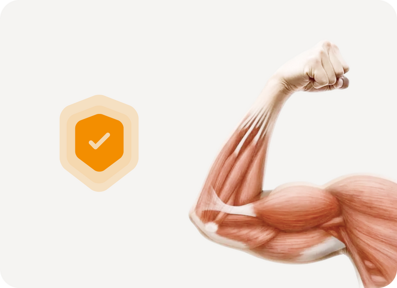 Protects lean muscle during weight loss